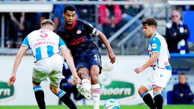 蒙加的引援 蒙加的引援