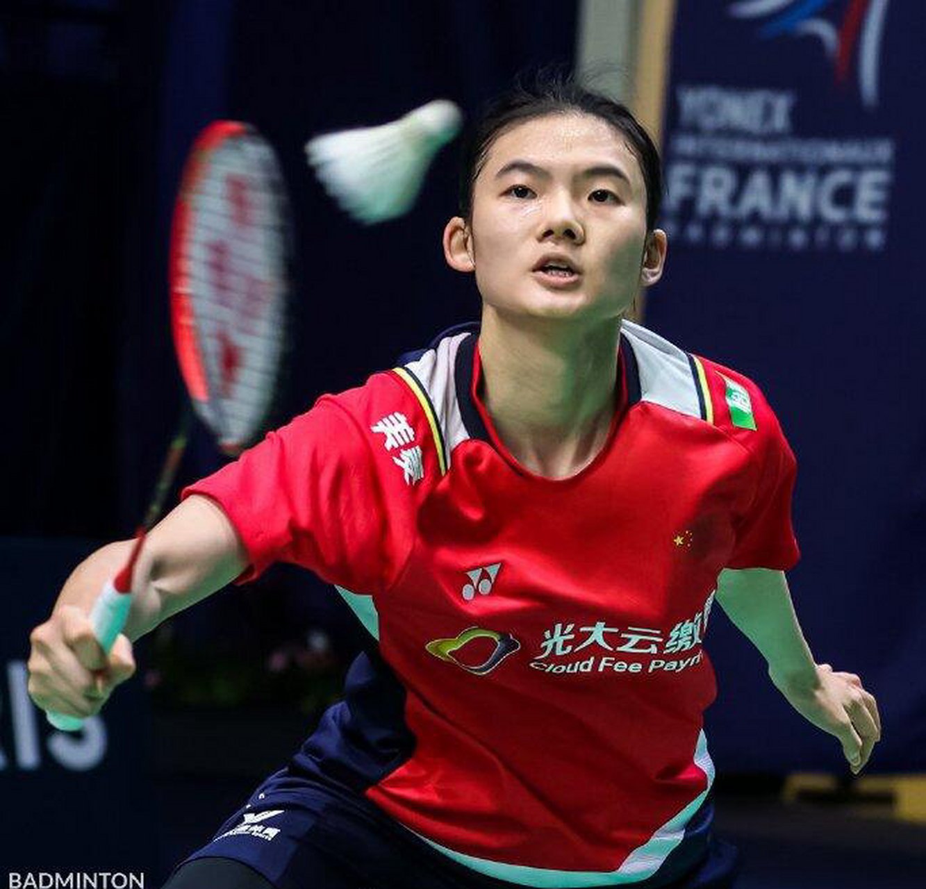 将获得国内 将获得国内